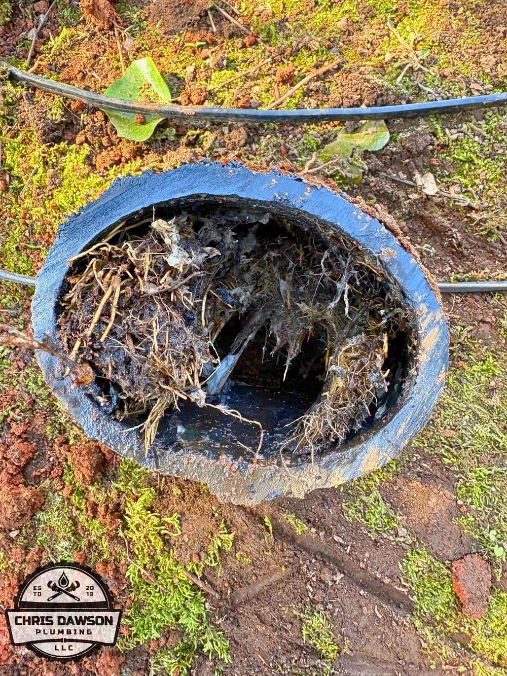 Project Main Drain Line Replacement in Elberton GA image