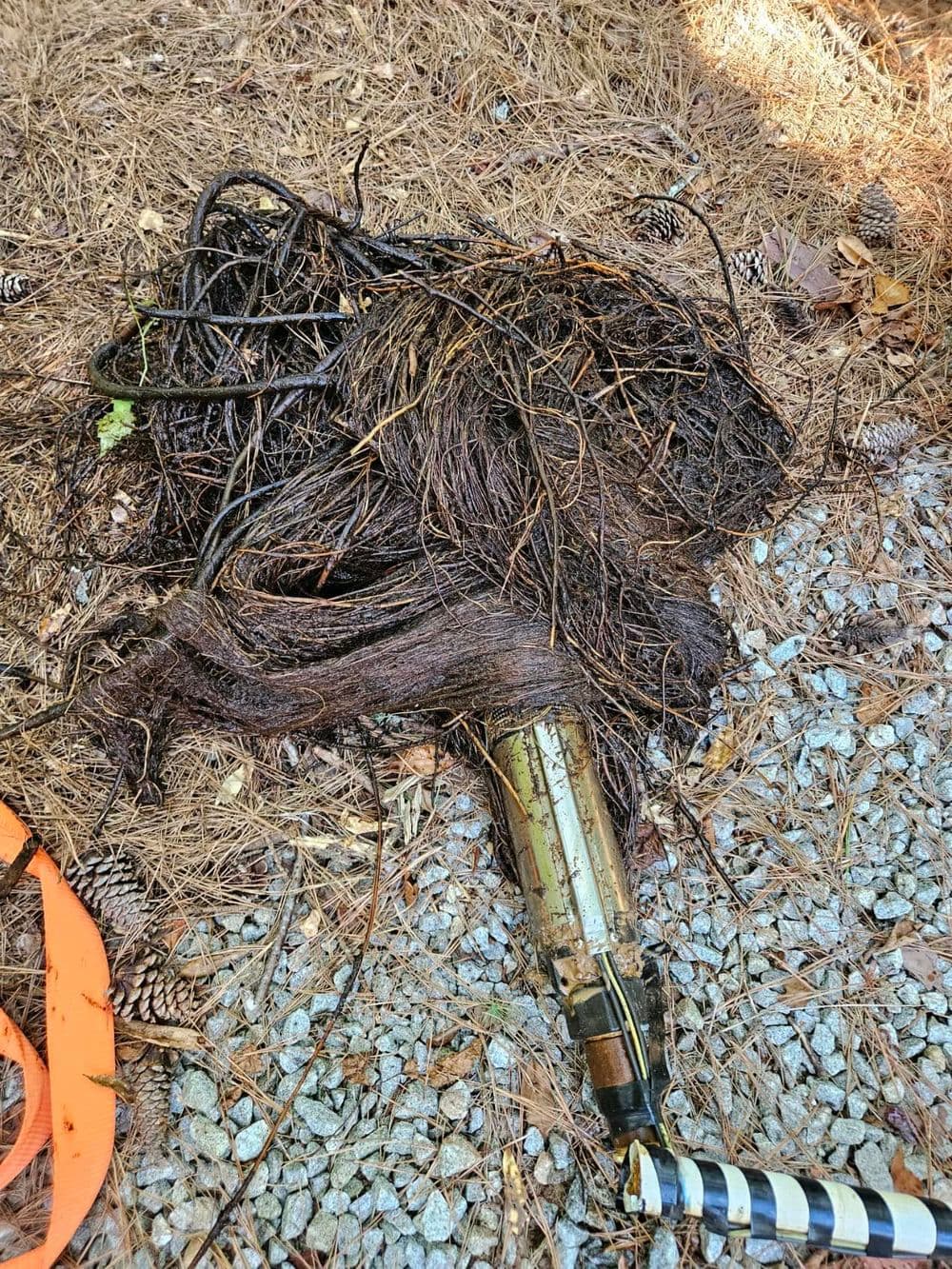 Gallery photos for Efficient Waterline Replacement in Winterville: Image #1